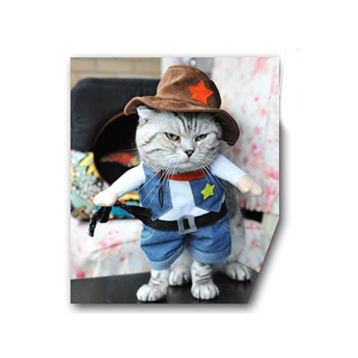 Cowboy Dog Costume with Hat Dog Clothes Halloween Costumes for Cat and Small Dog Pet Clothese