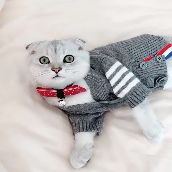 Leisure Elegant Fall Winter Anti-Cold Warm Pet Clothes